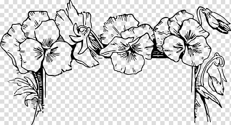 Flower Line Art, Floral Design, Cut Flowers, Plant Stem, Cartoon, Plants, Symmetry, Blackandwhite transparent background PNG clipart