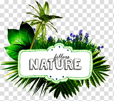 Nature Fillers s, fillers nature transparent background PNG clipart