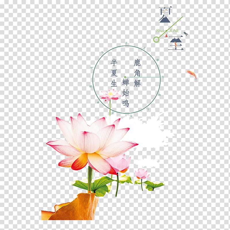 Summer Background Flowers, Sacred Lotus, Summer Solstice, Lotus Effect, Proteales, Festival, Summer
, Pink transparent background PNG clipart