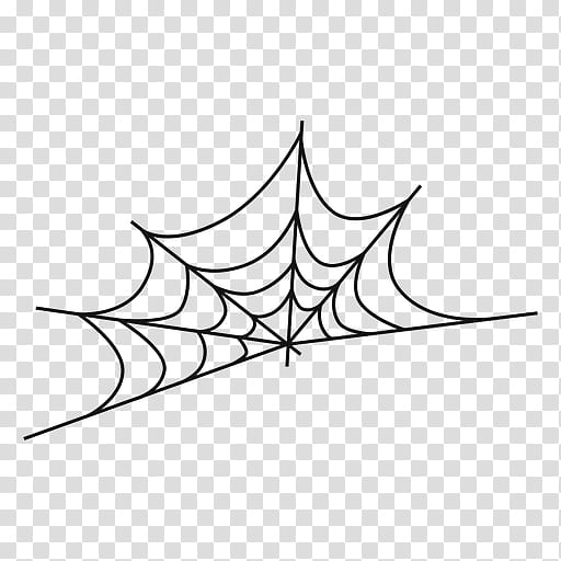 Spider Web, Drawing, Line, Leaf, White, Black And White
, Plant, Line Art transparent background PNG clipart