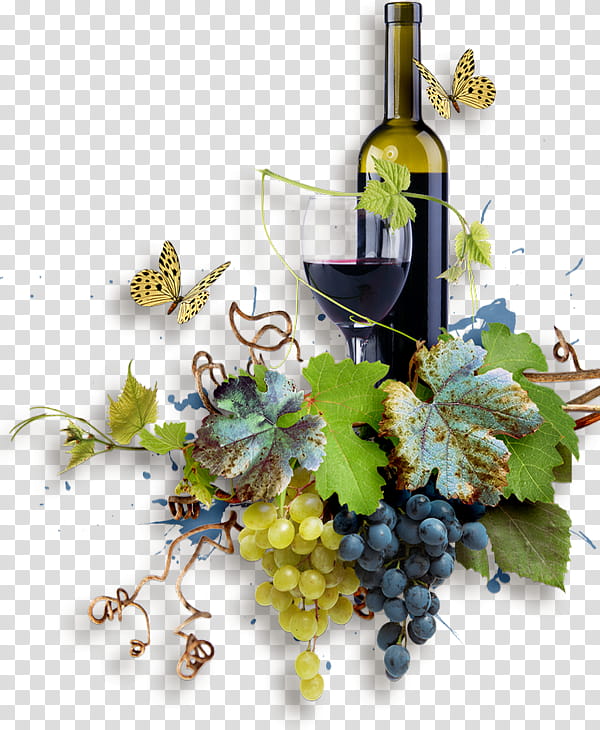 Oil, Grape, Wine, White Wine, Harvest, Straw Wine, Bottle, Tutorial transparent background PNG clipart