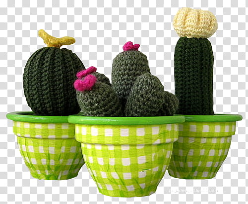 Green aesthetic, grey and green knitted cactuses transparent background PNG clipart