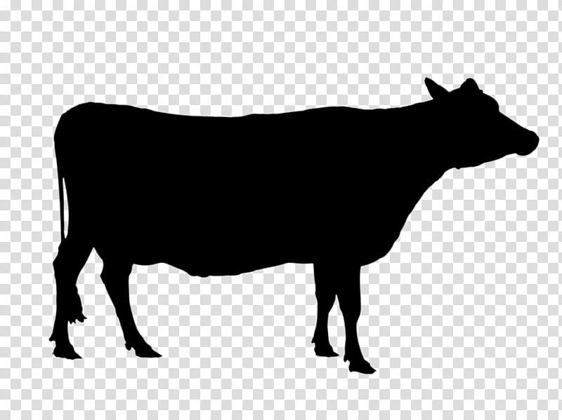 Family Silhouette, Angus Cattle, Texas Longhorn, Holstein Friesian Cattle, Calf, Beef Cattle, Sticker, Farm transparent background PNG clipart