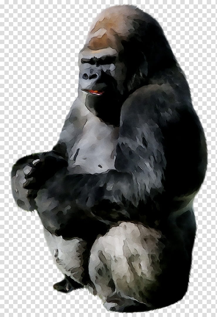 Gorilla, Ape, Western Gorilla, Western Lowland Gorilla, Snout, Sculpture, Statue, Figurine transparent background PNG clipart