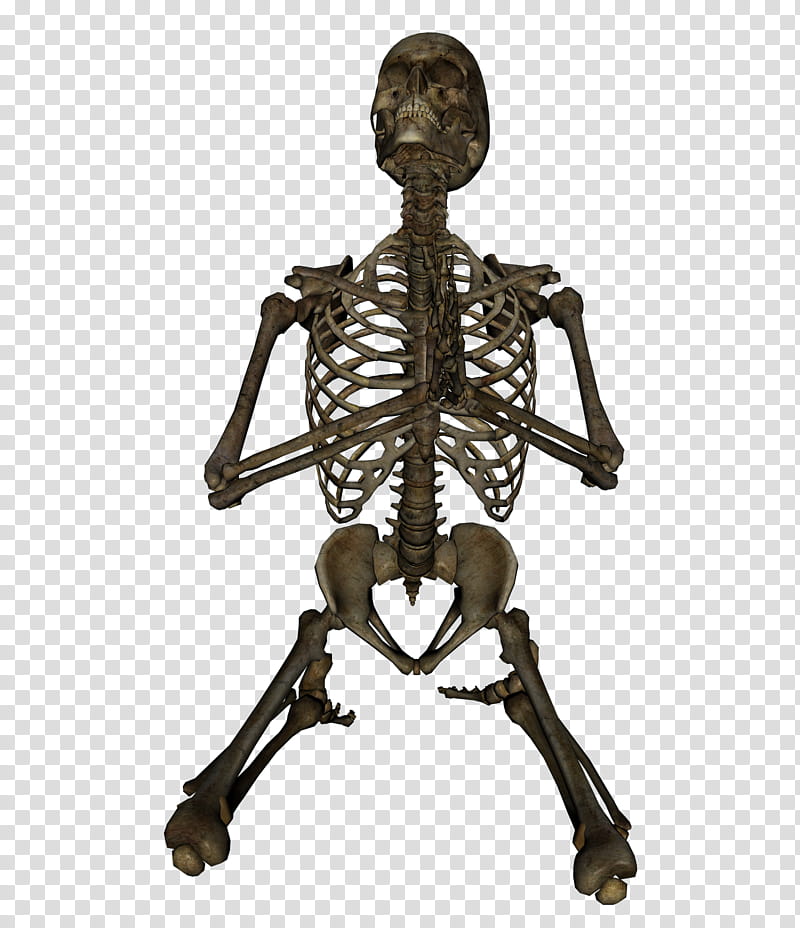 Skeleton Praying Front, brown human skeleton transparent background PNG clipart