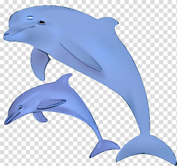 dolphin common bottlenose dolphin bottlenose dolphin fin marine mammal, Shortbeaked Common Dolphin, Cetacea, Wholphin, Common Dolphins transparent background PNG clipart