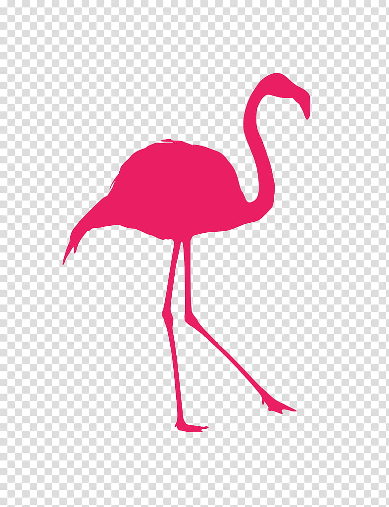 Flamingo Silhouette, Bird, Crows, Animal, Stencil, Mug, Gift, Raven transparent background PNG clipart