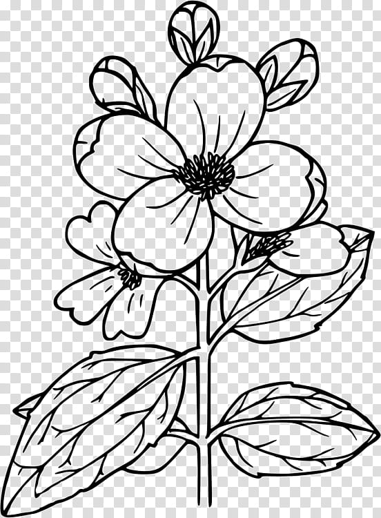 Flower Line Art, Drawing, Cut Flowers, Doodle, Mock Oranges, White, Blackandwhite, Leaf transparent background PNG clipart