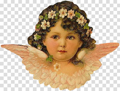 VICTORIAN angel  quaddles, cherub with white-petaled flowers headdress transparent background PNG clipart
