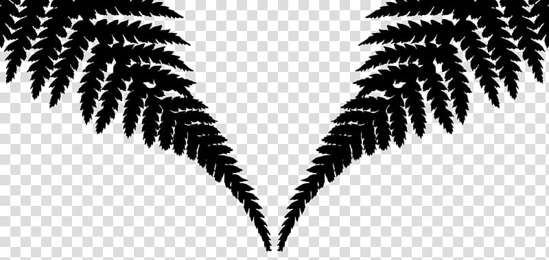 Cartoon Palm Tree, Palm Trees, Plants, Leaf, Black And White
, Fern, Nature, Fiddlehead Fern transparent background PNG clipart