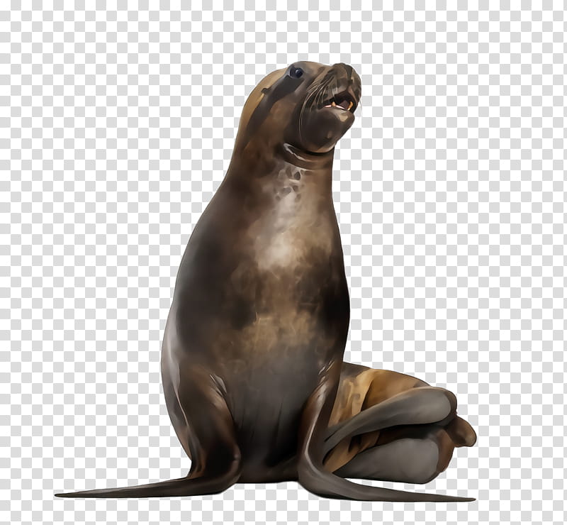 california sea lion seal fur seal steller sea lion bronze sculpture, Watercolor, Paint, Wet Ink, Harbor Seal, Figurine, Marine Mammal, Earless Seal transparent background PNG clipart