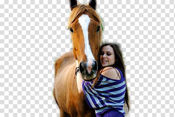 woman wearing blue dress standing beside horse transparent background PNG clipart
