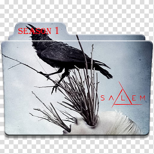 Salem Main Folder Season   icons, S- transparent background PNG clipart