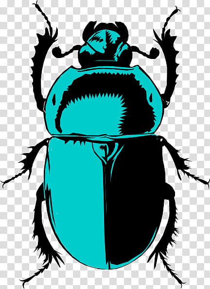 Beetle Insect, Scarabs, Dung Beetle, Silhouette, Volkswagen Beetle, Scarabaeus, Hercules Beetles, Stag Beetles transparent background PNG clipart