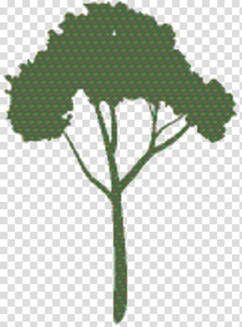 Tree, Plant Stem, Flower, Leaf, Plants, Vegetable, Herb, Heracleum Plant transparent background PNG clipart