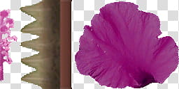 DOAX Crystal Boutique, single pink flower petal transparent background PNG clipart