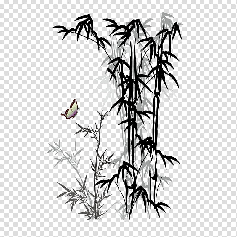 Bird Line Drawing, Ink Wash Painting, Bamboo, Ink Brush, Gongbi, Fengzhu, Black And White
, Branch transparent background PNG clipart