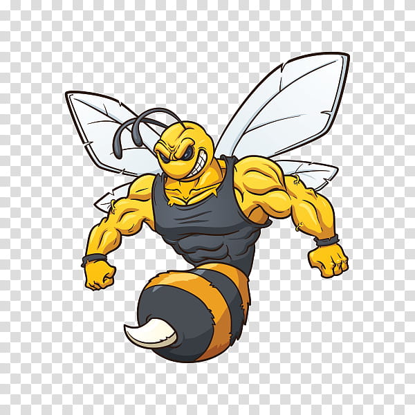Mascot Logo, Hornet, Bee, Wasp, Characteristics Of Common Wasps And Bees, Honeybee, Bumblebee, Insect transparent background PNG clipart