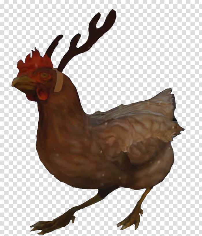 Chicken, Counterstrike Global Offensive, Counterstrike Condition Zero, Counterstrike Source, Counterstrike 16, Counterstrike Online, Video Games, Goldsrc transparent background PNG clipart