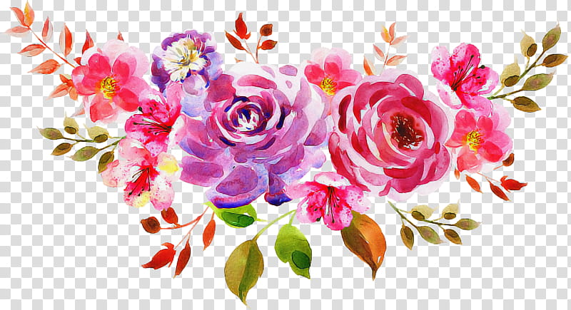 Garden roses, Pink, Flower, Plant, Petal, Rose Family, Floral Design transparent background PNG clipart