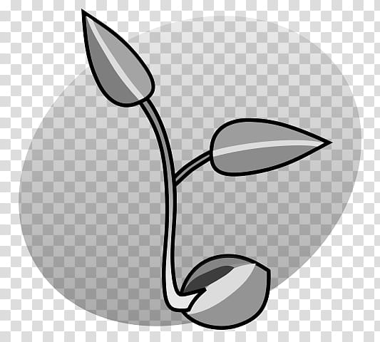 Plants, Seedling, Snout, Black White M, Biology, Bonsai, Line Art, Blackandwhite transparent background PNG clipart