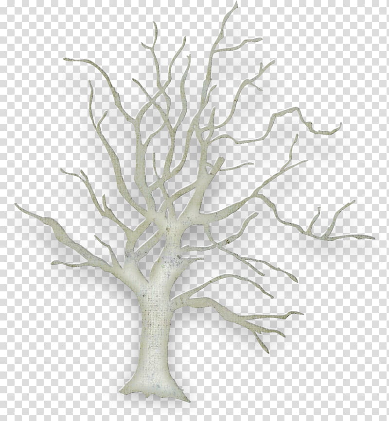 Oak Tree Drawing, Plants, Tree Of Life, Family Tree, Line, Shrub, White, Branch transparent background PNG clipart
