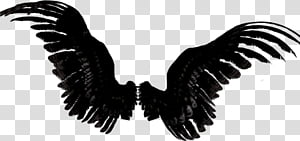 Wings transparent background PNG clipart thumbnail