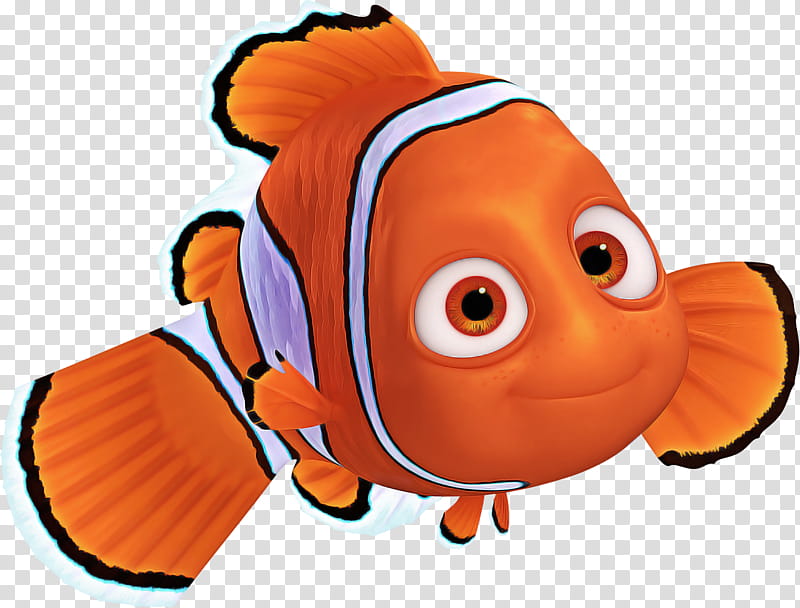 Orange, Anemone Fish, Clownfish, Pomacentridae, Cartoon, Snout, Bonyfish transparent background PNG clipart