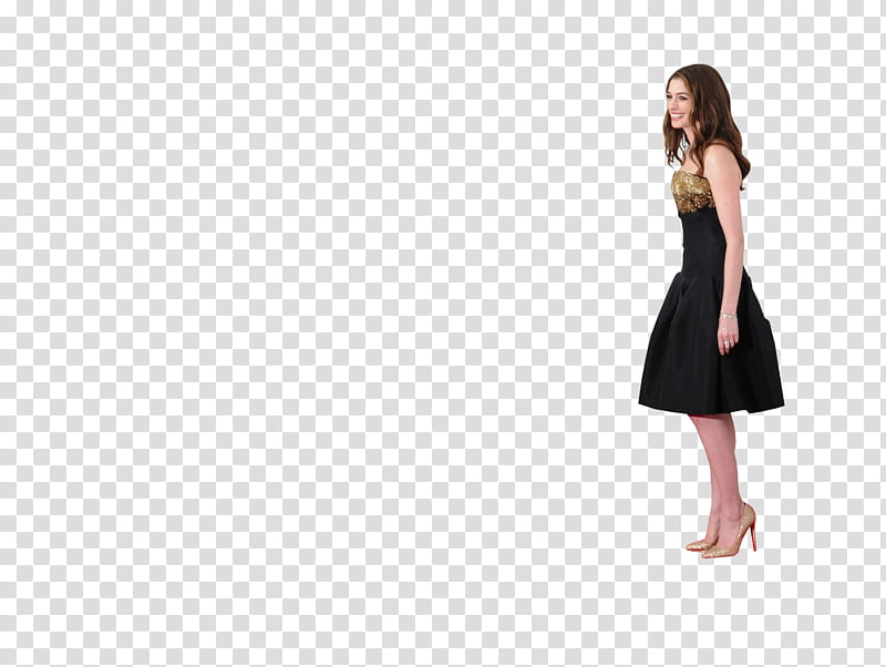 Anne Hathaway Red Carpet transparent background PNG clipart