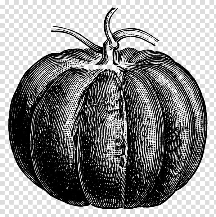 Pumpkin, Calabaza, Winter Squash, Plant, Fruit, Vegetable, Cucurbita, Drawing transparent background PNG clipart