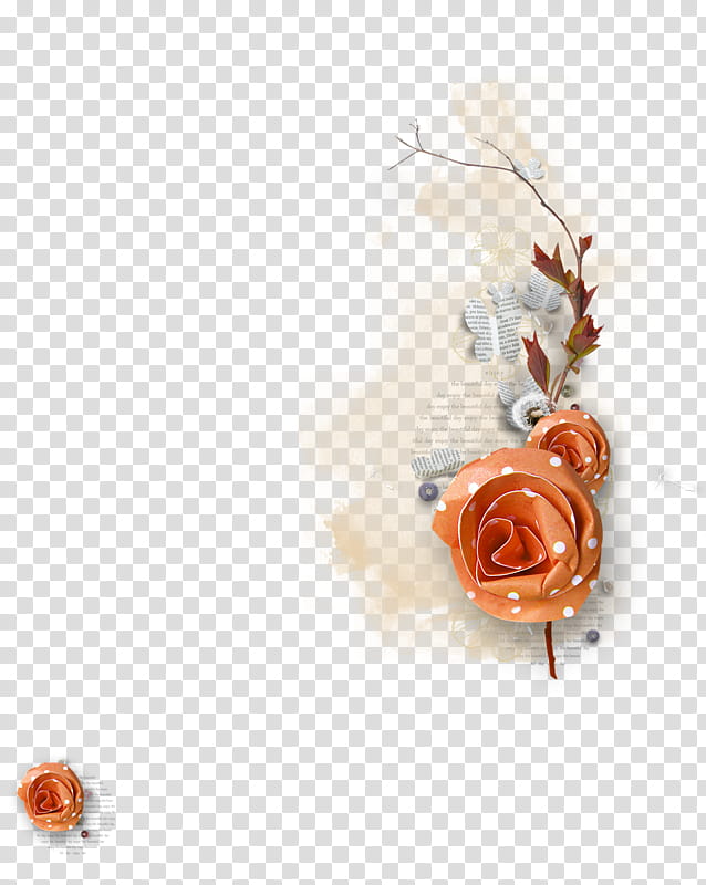 Orange Flower, Orange Rosen, Video, Text, Creativity, Idea transparent background PNG clipart