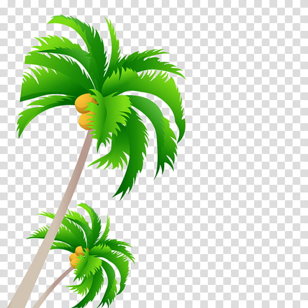 Palm Tree Leaf, Palm Trees, Coconut, Sticker, Plants, Areca Palm, Fruit Tree, Green transparent background PNG clipart