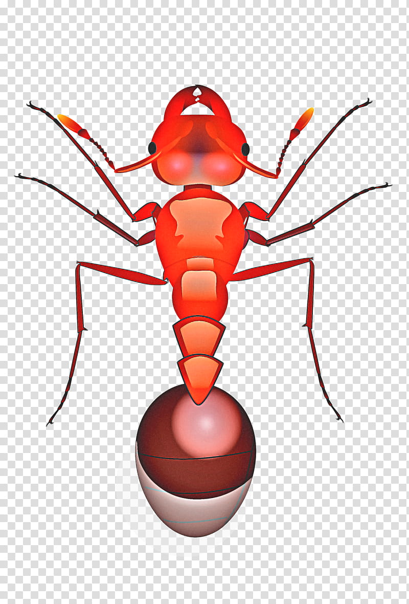 Fire Drawing, Red Imported Fire Ant, Insect, Myrmicinae, Bullet Ant, Queen Ant, Leafcutter Ant, Pest transparent background PNG clipart