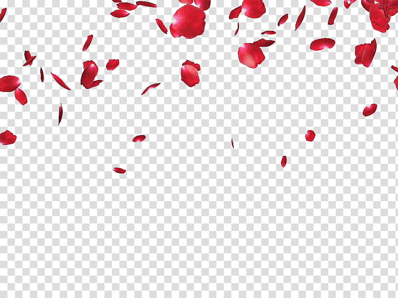 Petalos YuDelRey, red flower petals art transparent background PNG clipart