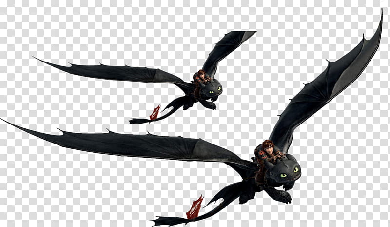 Toothless Flying Complete transparent background PNG clipart
