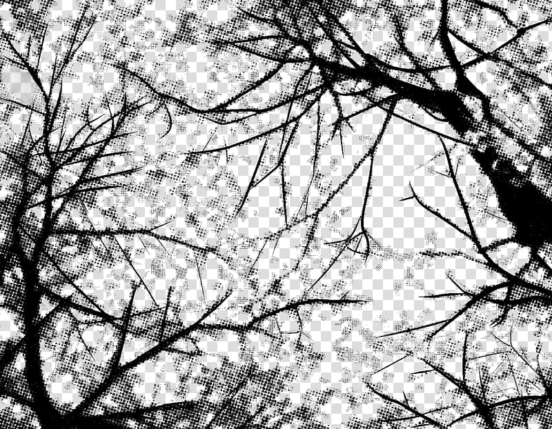 Cherry Blossom Screentone , low-angle raphy of tree transparent background PNG clipart