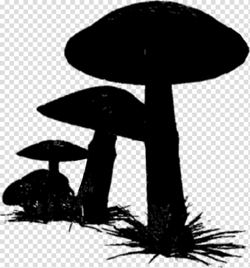 Tree Silhouette, Black White M, Mushroom, Edible Mushroom, Blackandwhite, Landscape, Plant, Agaricomycetes transparent background PNG clipart