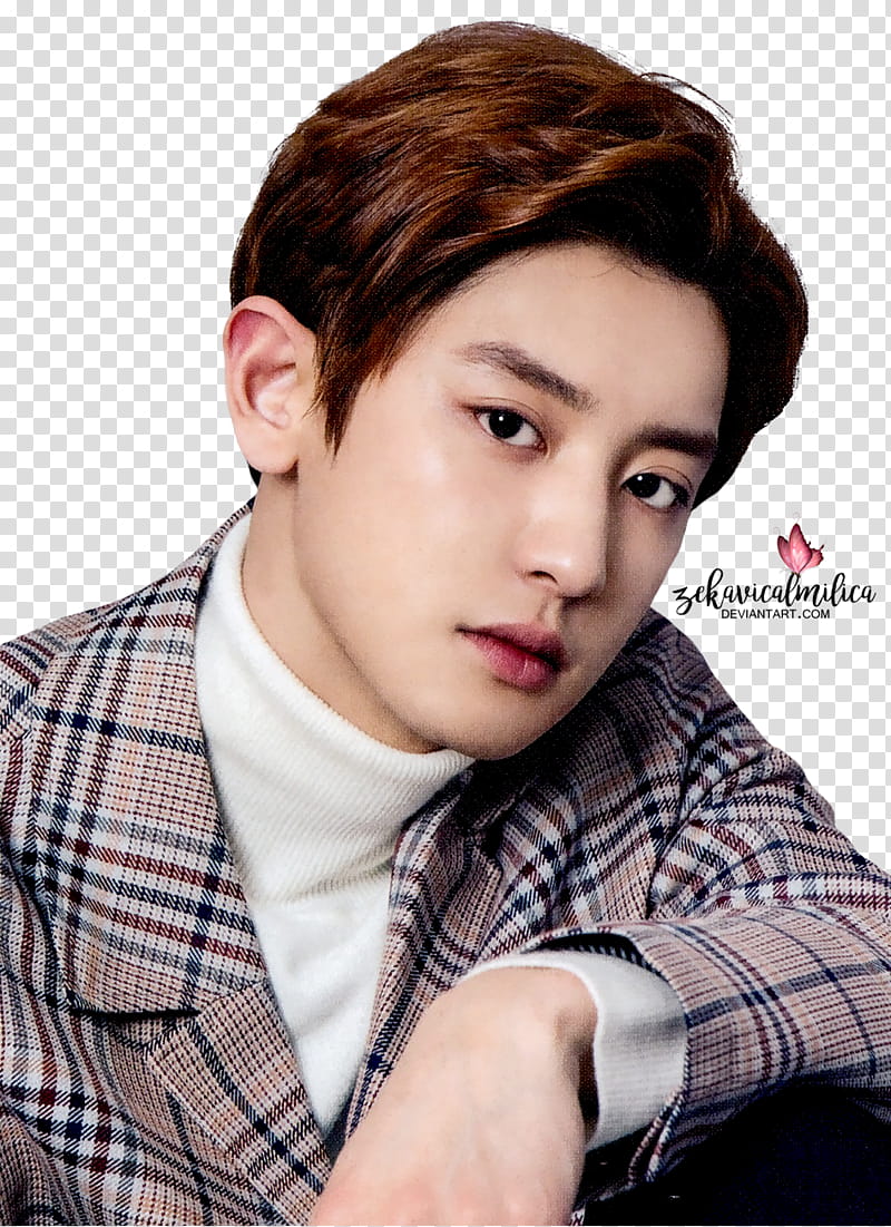 EXO Chanyeol Hanryu Pia, man wearing plaid top transparent background PNG clipart