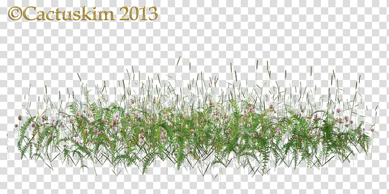 Wild Flowers and grass weeds KL, green grass transparent background PNG clipart