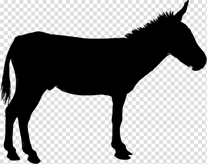 Donkey, Uv Mapping, Mule, 3D Modeling, 3D Computer Graphics, Polygon Mesh, CGTrader, Mane transparent background PNG clipart