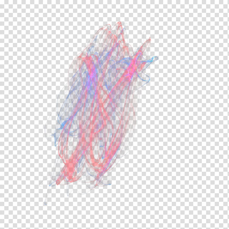 Multicolored Fractal Flames transparent background PNG clipart