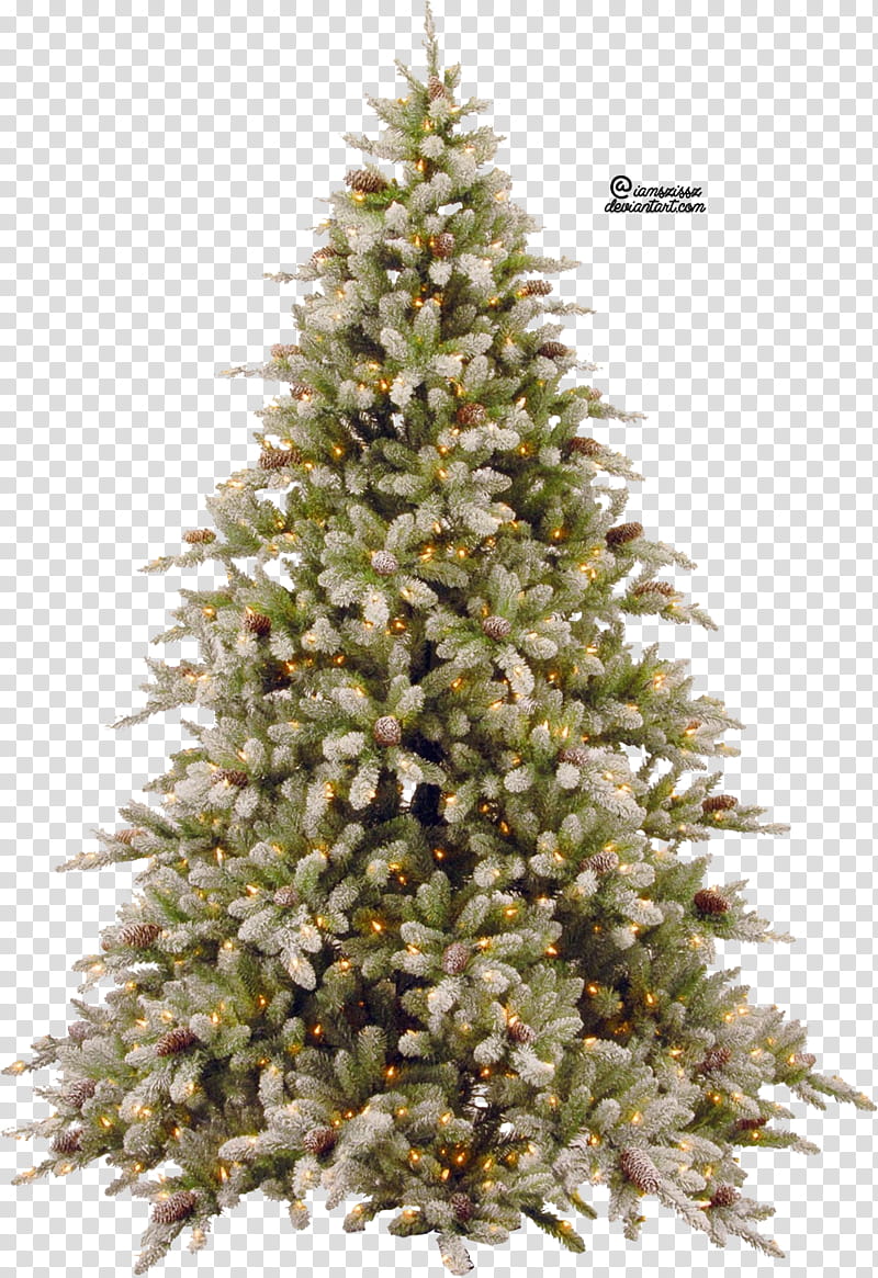 Xmas tree , green Christmas tree transparent background PNG clipart