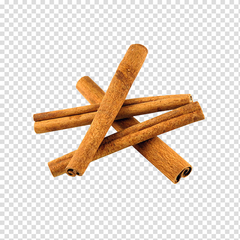 cinnamon stick plant