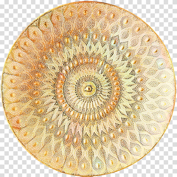 Circle, Closeup, Ammonoidea, Spiral transparent background PNG clipart