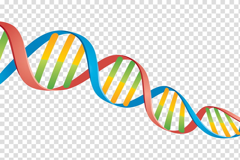 Double Helix, Dna, Nucleic Acid Double Helix, Biology, Dna Microarray ...