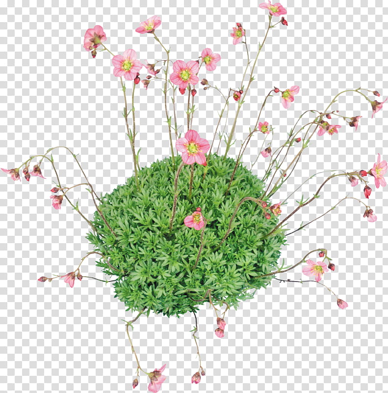 Pink Flowers, Floral Design, Cut Flowers, Flower Bouquet, Alpha Channel, Plant, Flower Arranging, Flowerpot transparent background PNG clipart