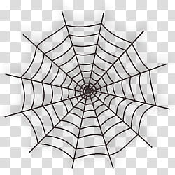 Halloween, black spider web illustration transparent background PNG clipart