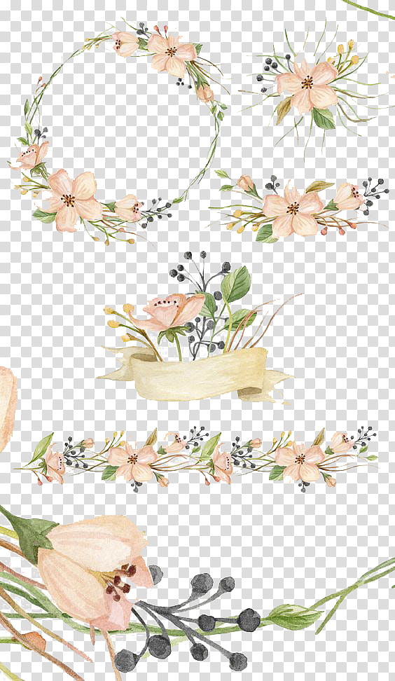 Watercolor Floral, Watercolor Flowers, Watercolor Painting, Texture, Line Art, Plant, Branch, Blossom transparent background PNG clipart