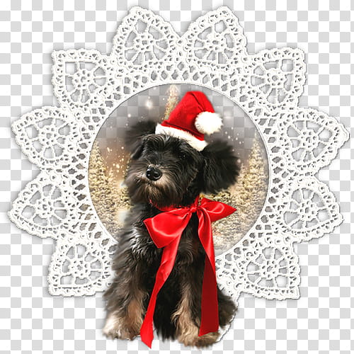 Christmas Decoration, Schnoodle, Cairn Terrier, Affenpinscher, Puppy, Christmas Ornament, Puppy Love, Snout transparent background PNG clipart