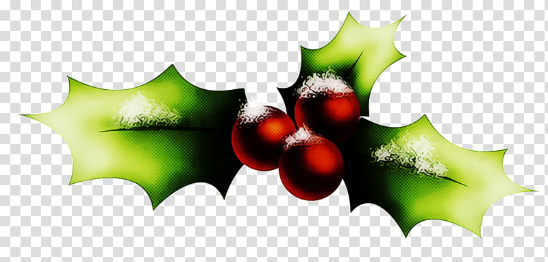 christmas holly Ilex holly, Christmas , Leaf, Plant, Fruit, Flower, American Holly transparent background PNG clipart